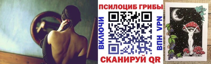 дарк нет как зайти  Кулебаки  Галлюциногенные грибы Psilocybe  хочу наркоту 